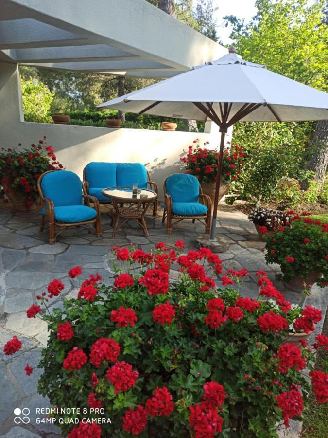 Sani Villa Maria ภายนอก รูปภาพ